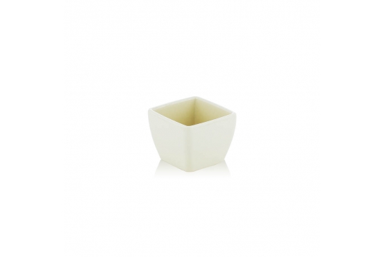 Mini Kare Saksı